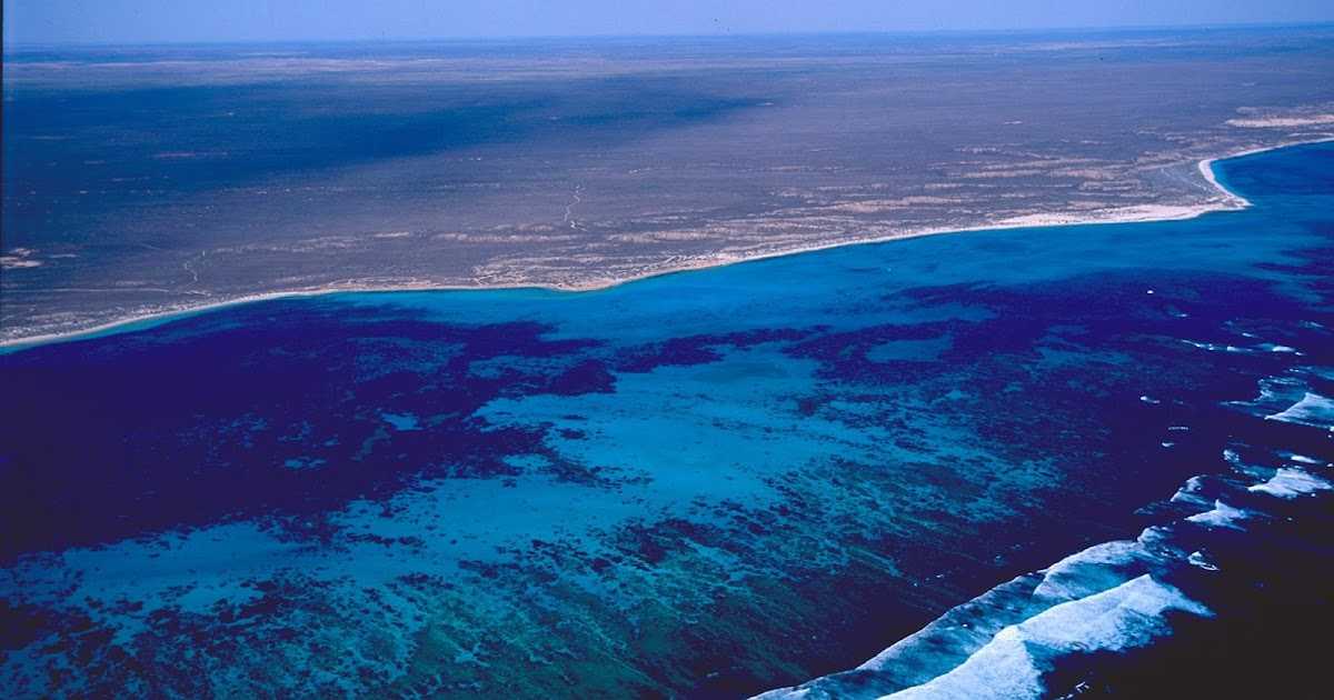 Проливы и заливы австралии и новой зеландии - названия, карта и характеристика — природа мира