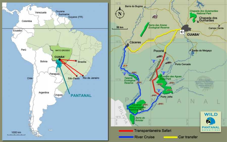 Пантанал национальный парк бразилия