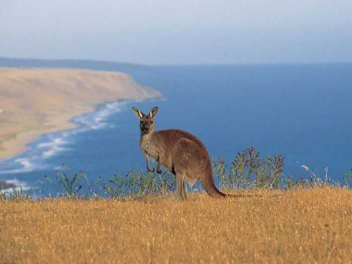 Топ-10 национальных парков австралии