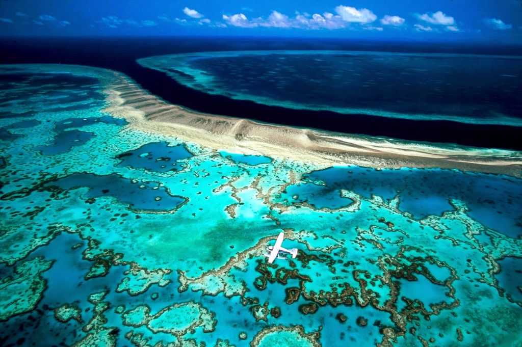 Большой барьерный риф, австралия — подробная информация с фото