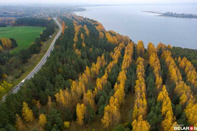 Озеро Нарочь – крупнейший пресноводный водоем на территории Беларуси, обладающий уникальной экосистемой. Озеро находится на северо-западе республики, в Мядельском районе Минской области, в 150 километрах от столицы страны. Нарочь является жемчужиной белор