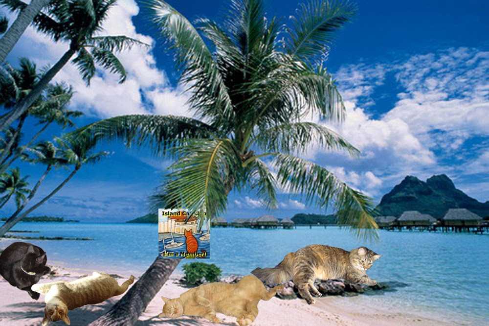 Идеально для тропического путешествия — остров кэт на багамах