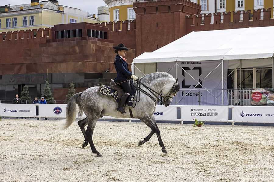Катание на лошадях: стили верховой езды и конные лагеря - 2021 travel times