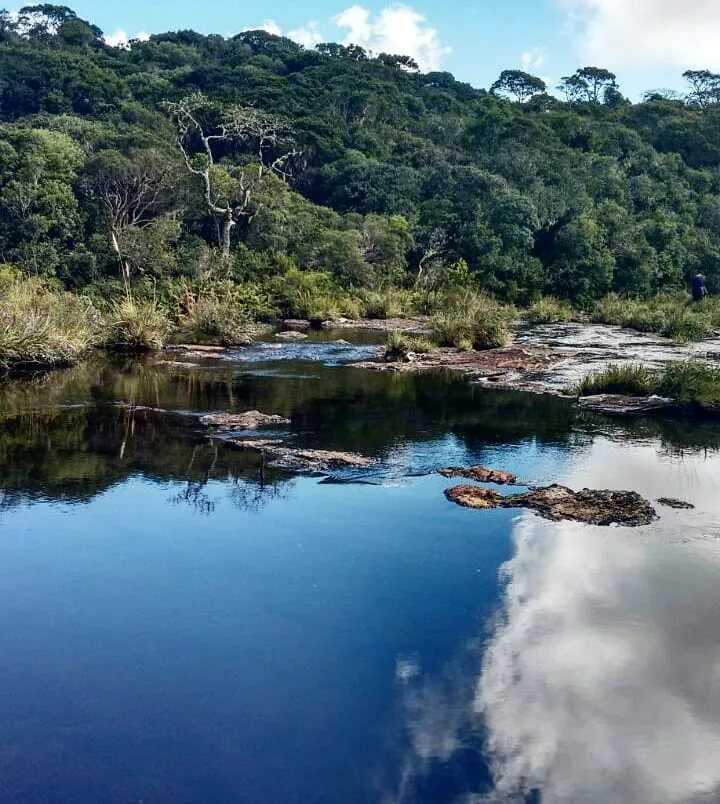 Национальный парк катимбау - gaz.wiki