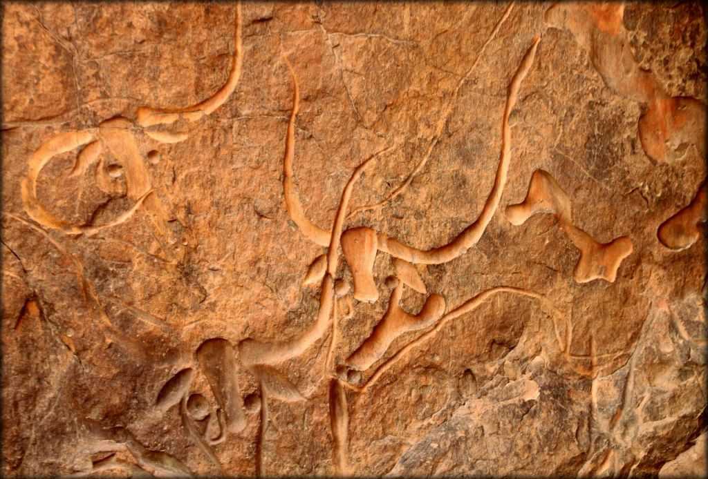 История сахары в наскальной живописи тассилин-аджера. 100 великих археологических открытий