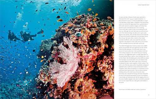Большой барьерный риф – всемирное достояние человечества