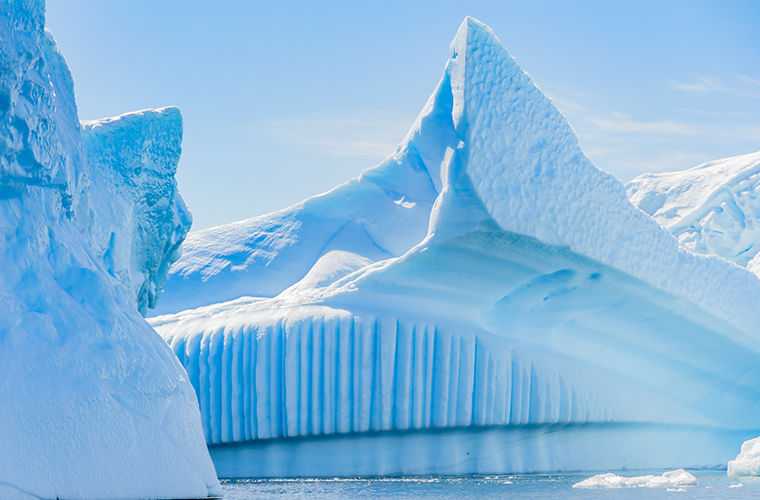 Чем отличается арктика от антарктики и антарктиды и что у них общего?