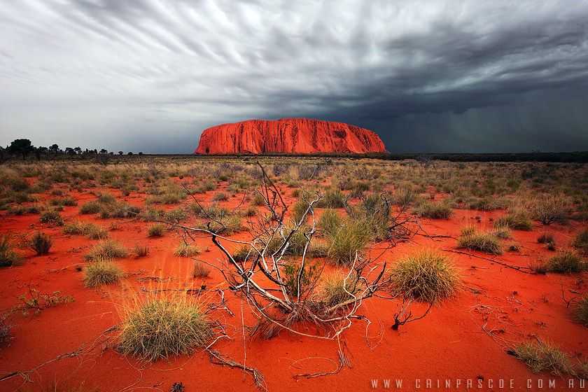 География австралии: геология, климат, пустыни, водоемы, природные ресурсы, экология и население. пустыни и полупустыни австралии флора и фауна пустынь полупустынь австралии