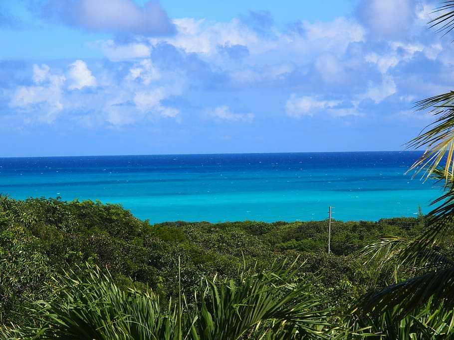 Багамы - нассау - гранд багама - нью провиденс - эксума