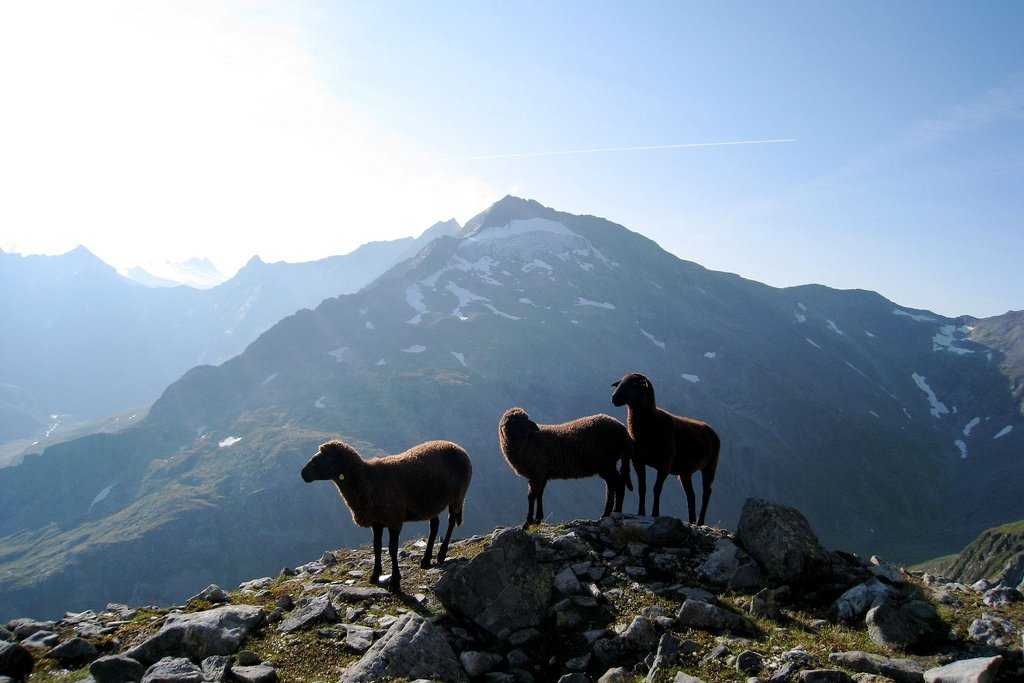 Австрия: заповедники и национальные парки