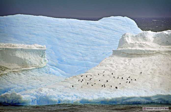 20 невероятных фактов об антарктиде, которые знают не многие (21 фото)