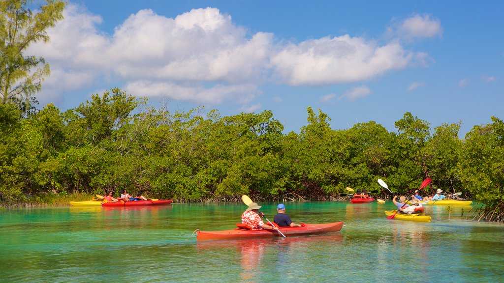 Узнай где находится Национальный парк Лукайян на карте Багам (С описанием и фотографиями). Национальный парк Лукайян со спутника
