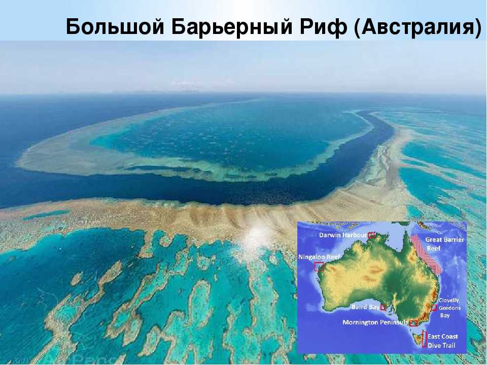 Большой барьерный риф: уникальная эко-система