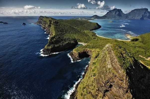 Острова лорд-хау и болс-пирамид-фото островов, флора и фауна, краткое описание.