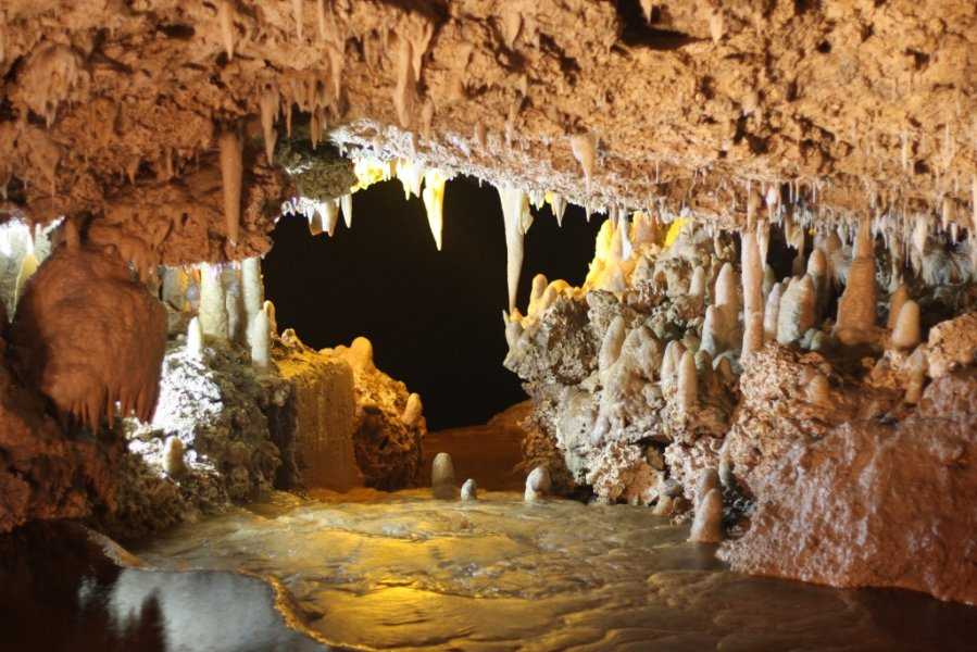 Пещеры дженолан - jenolan caves - abcdef.wiki