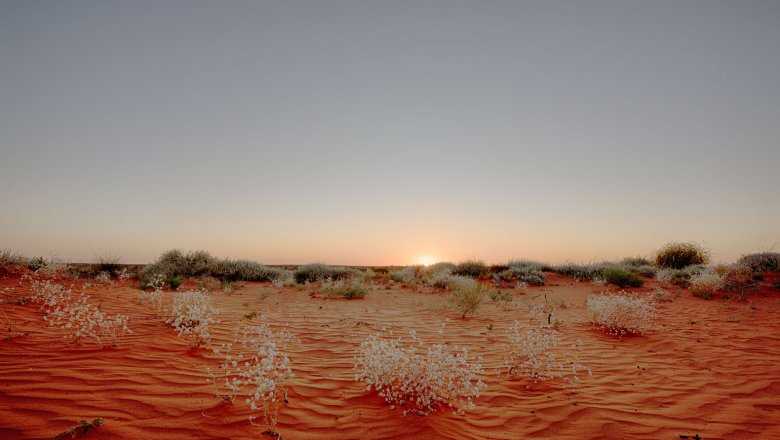 Пустыня пиннаклс (pinnacles desert) в австралии - фото, описание, карта