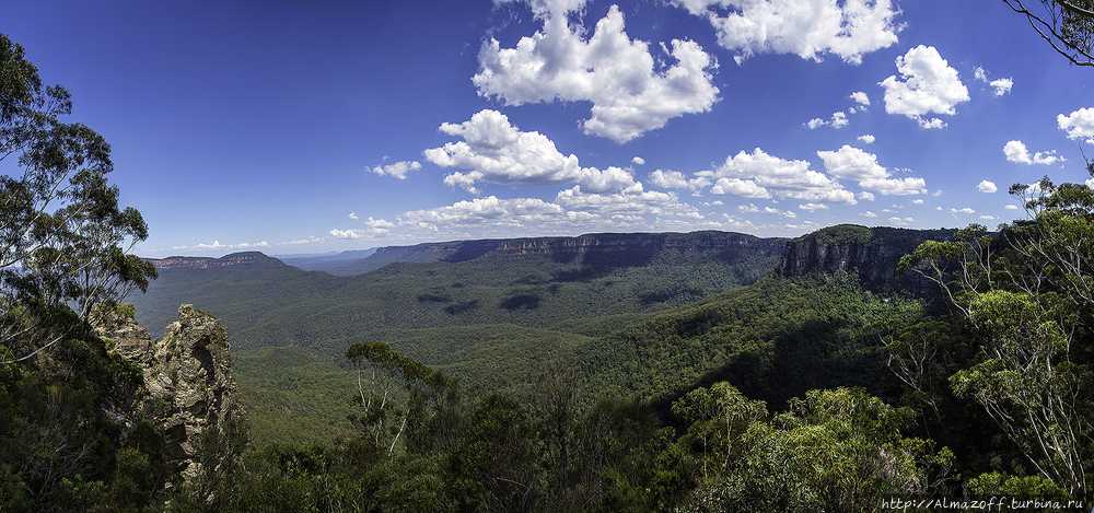 Самая высокая гора в австралии: вершина южного континента, ее место среди больших гор мира, сложность восхождения, флора и фауна | tvercult.ru