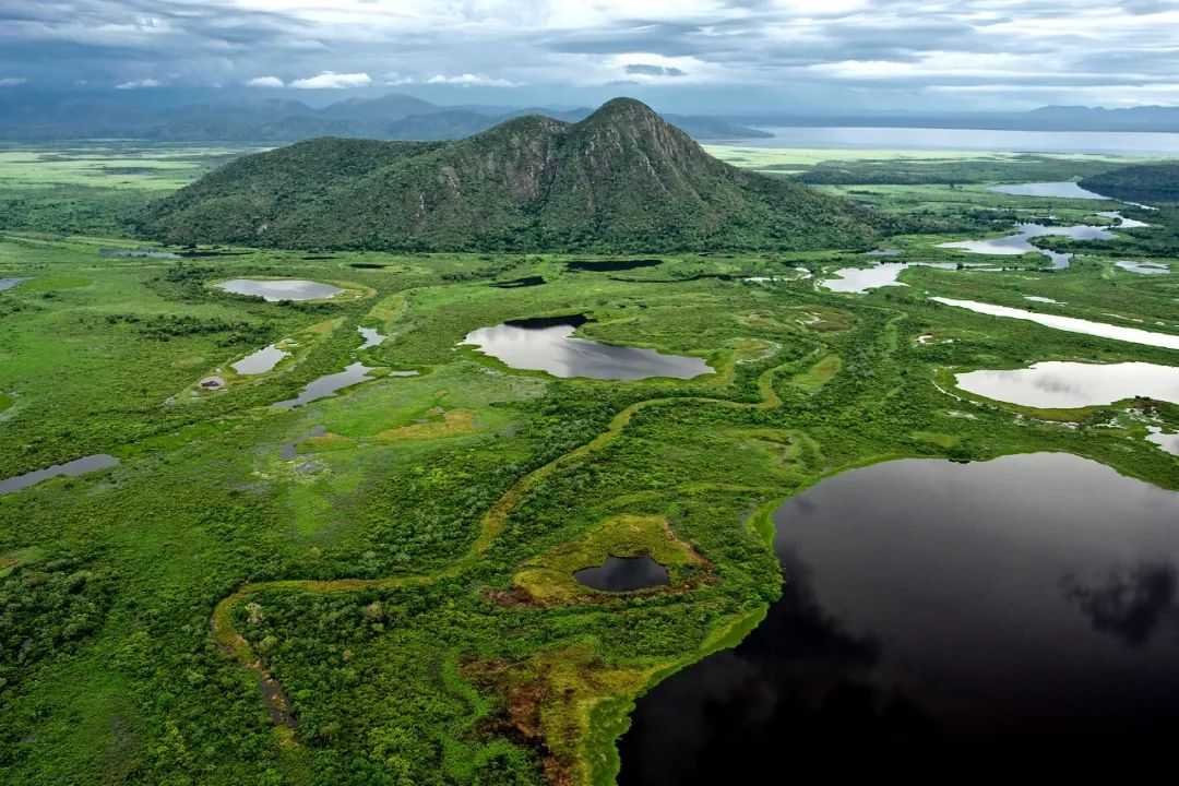 Пантанал (pantanal) описание и фото - бразилия