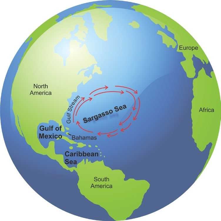 Где находится саргасово море — на карте океанов? чья территория?