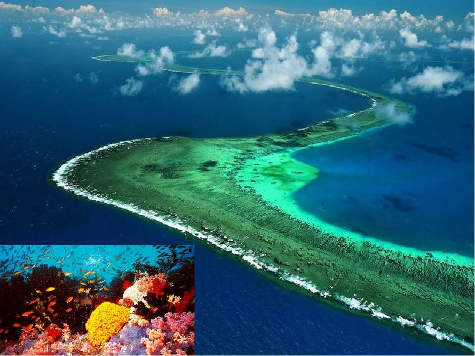 Белизский барьерный риф в гондурасе - описание, где находится
