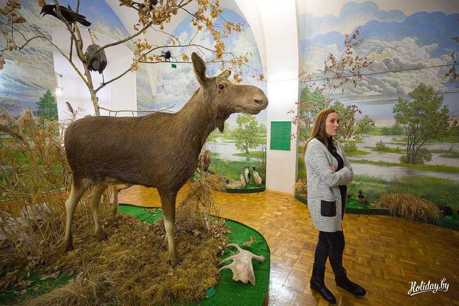 Музеи в беларуси