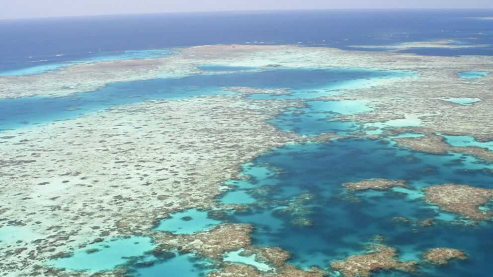 Большой барьерный риф, австралия — подробная информация с фото