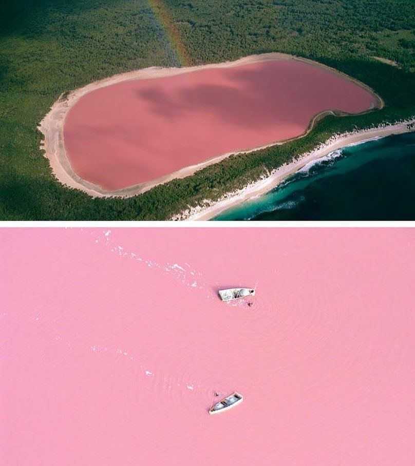 Хиллер – самое необычное озеро в Австралии и, возможно, самое удивительное в мире Его главной особенностью является розовый цвет воды Озеро расположено на юго-западе Австралии, на острове Средний - одном из 105 мелких островов, входящих в состав архипелаг