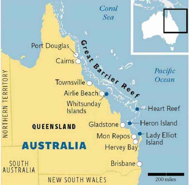Большой барьерный риф (австралия): фото, описание, история открытия
