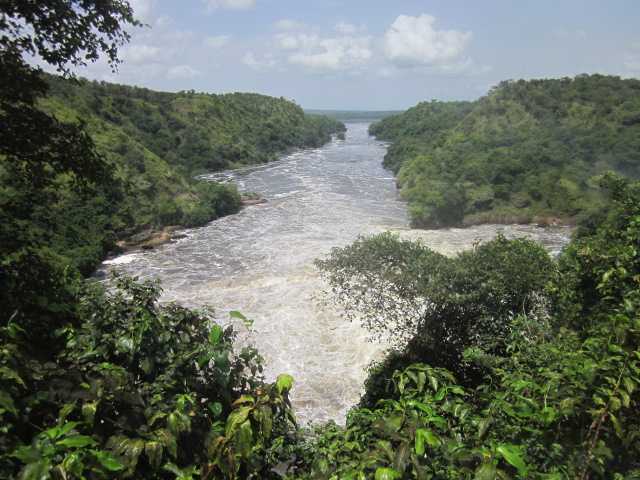 Река ньябаронго - nyabarongo river