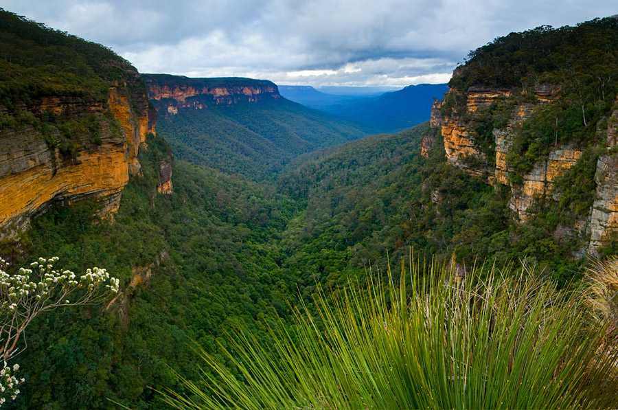 Список гор в австралии - list of mountains in australia