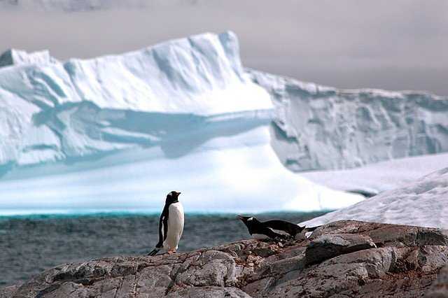 Фото моря Сомова в Антарктиде Большая галерея качественных и красивых фотографий моря Сомова, которые Вы можете смотреть на нашем сайте