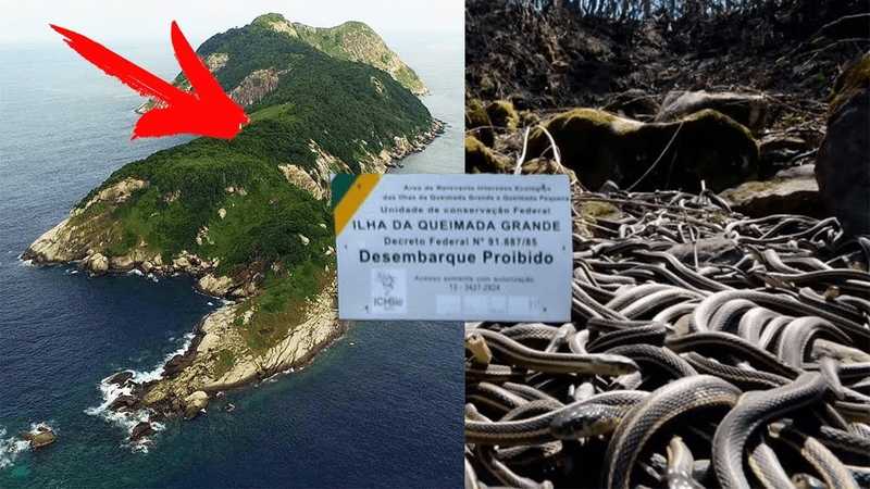 Самый опасный остров кеймада-гранди