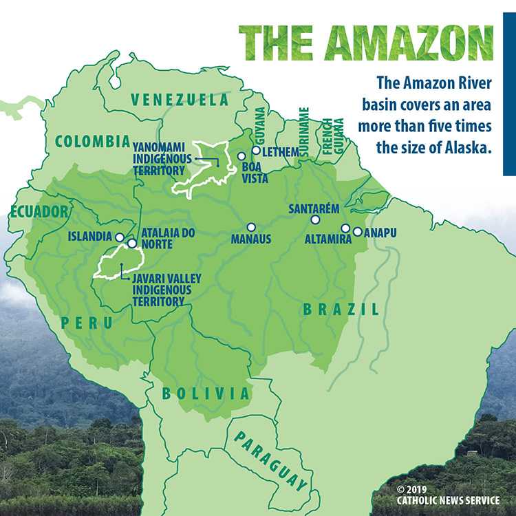 Подборка видео про Бассейн Амазонки (Бразилия) от популярных программ и блогеров. Бассейн Амазонки на сайте