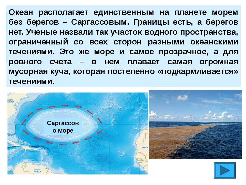Геоположение саргассова моря и его основные характеристики
