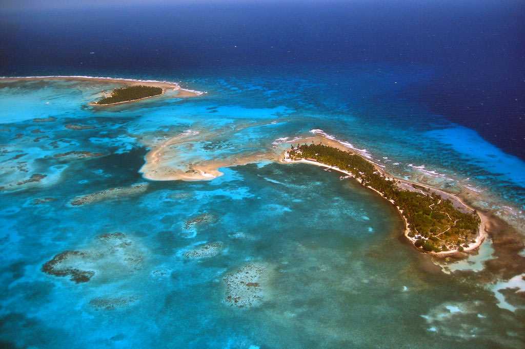 Карибское море - море флибустьеров. история, животные и кораллы