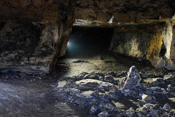 Пещера альтамира и наскальные рисунки каменного века