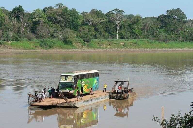 Какие животные обитают в бассейне реки амазонка – список видов, фото и характеристика