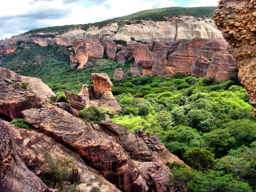 Национальный парк Серра-да-Капивара – уникальный бразильский резерват, в котором находится большое количество археологических памятников доисторической эпохи.