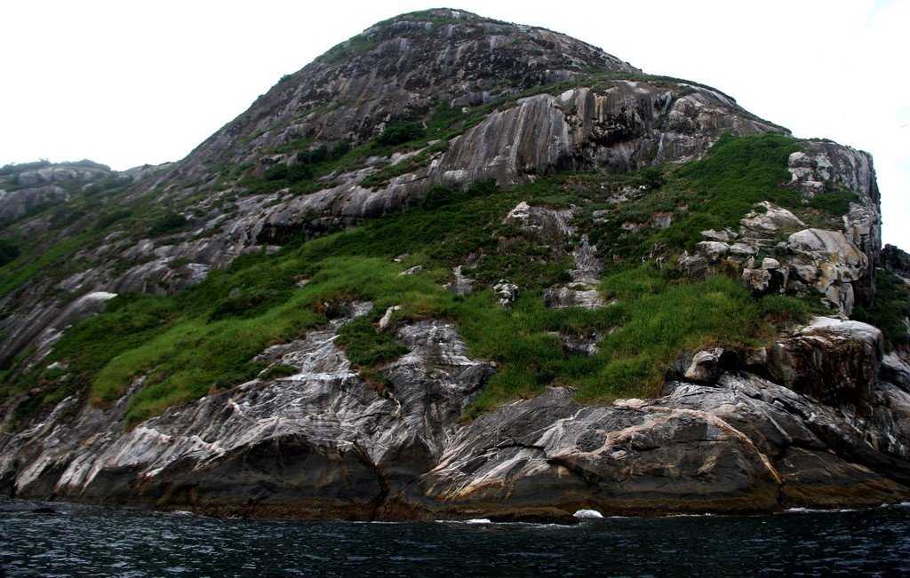 Остров кеймада гранде - обитель самых опасных змей в мире :: syl.ru