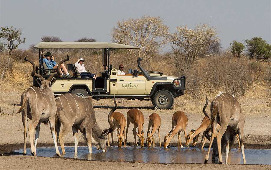 Сентрал-Калахари — национальный охотничий заповедник в Ботсване в пустыне Калахари. Сентрал-Калахари покрывает площадь в 52 800 км², что делает его самым большим заповедником Ботсваны и вторым по величине в мире. Его территория – равнинная местность с нек
