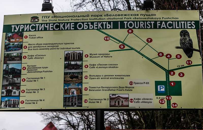Беловежская пуща на карте беларуси: как добраться, где остановиться • вся планета