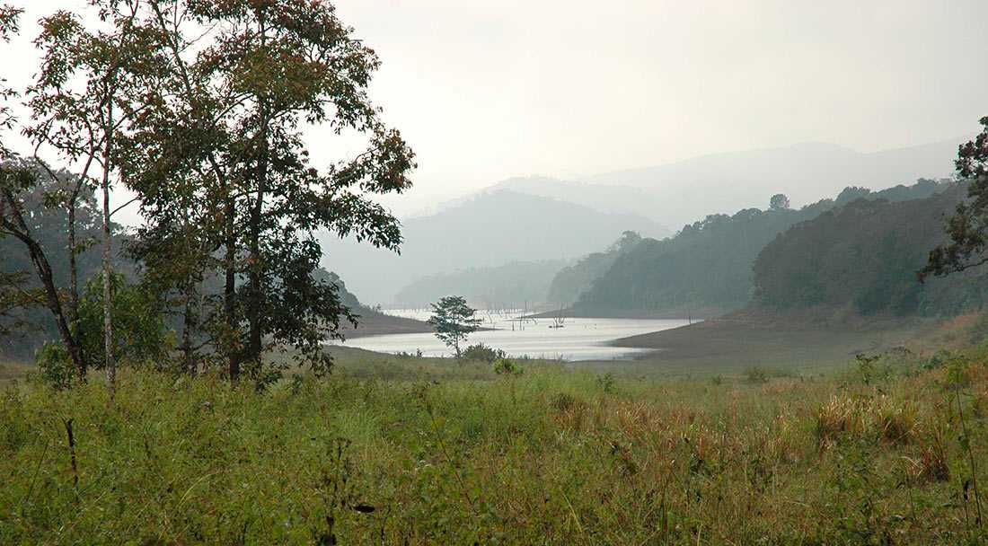 Королевский национальный парк манас - abcdef.wiki