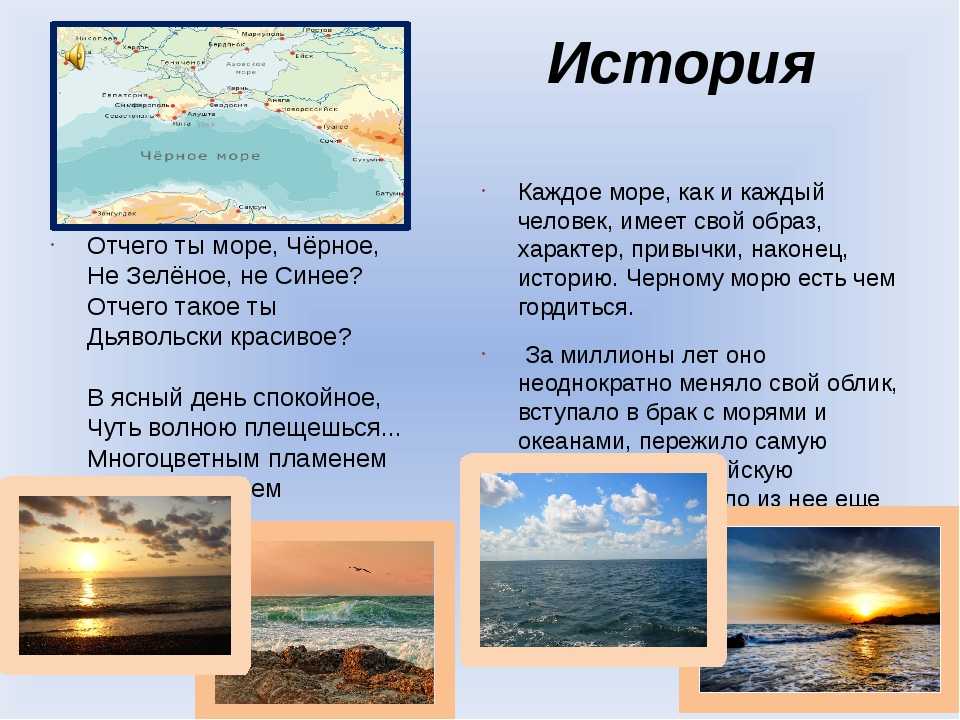 Рыбы черного моря – фото, названия и описание | виды и список рыб черного моря