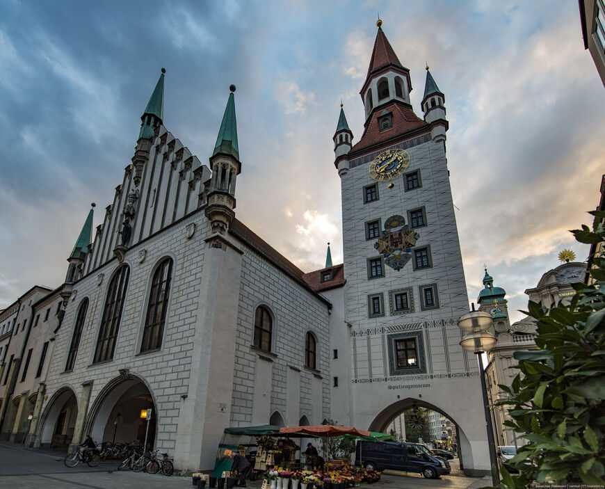 Венская ратуша, вена (австрия): история, фото, как добраться, адрес
на карте и время работы в 2021 - 2022