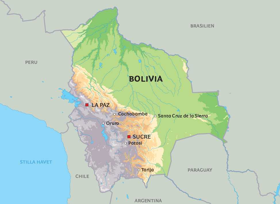 Государство боливия в южной америке