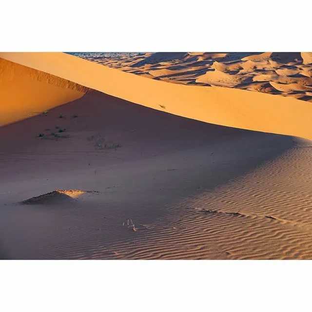Панорамы пустыни сахара - zefirka