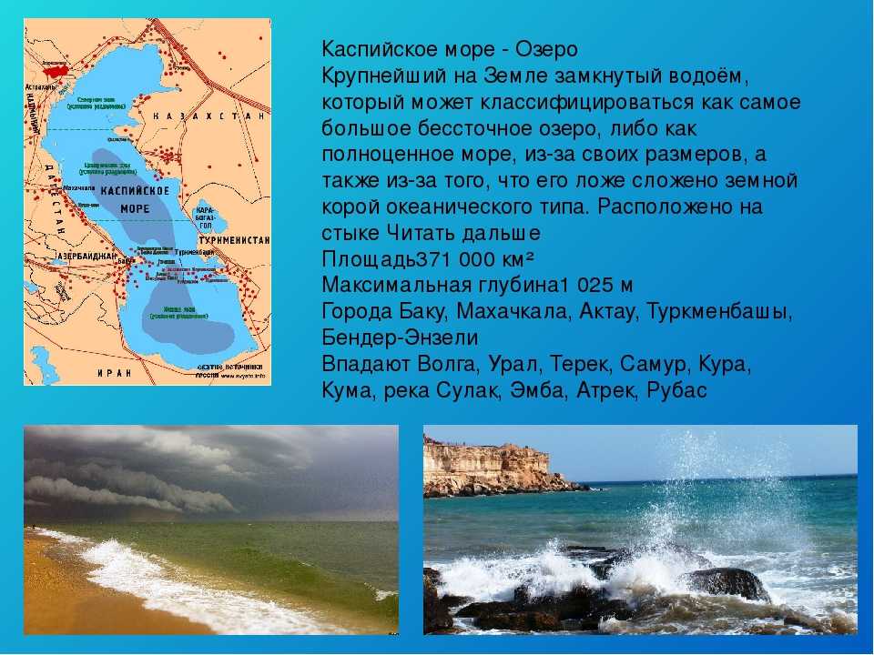 Каспийское море – самое большое озеро в мире » интересные факты