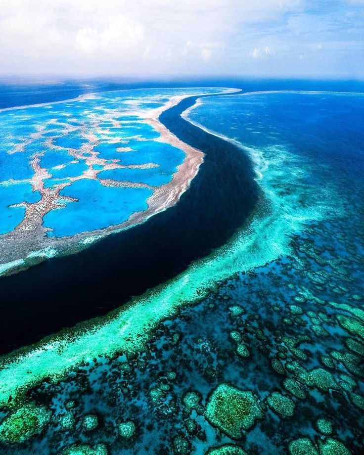 Большой барьерный риф в австралии: описание, фото, острова, развлечения, отели