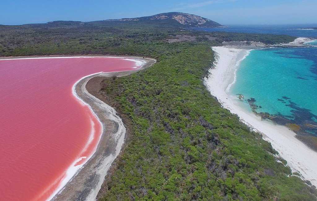 Самые красивые места в мире: розовое озеро хиллер в австралии