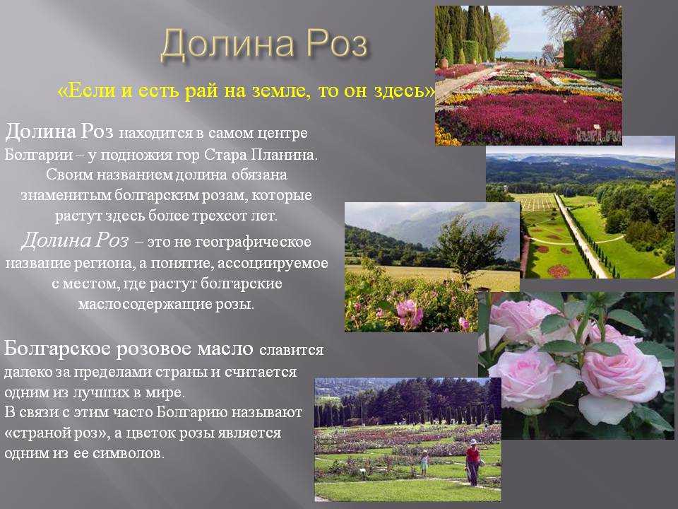Фото Долины Роз в Болгарии. Большая галерея качественных и красивых фотографий Долины Роз, которые Вы можете смотреть на нашем сайте...